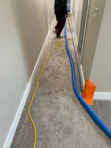 IMG-20250216-WA0060