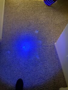 IMG-20250216-WA0090
